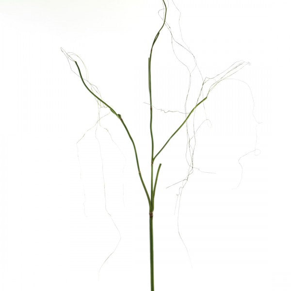60" FLORAL VINE STEM A4 B2