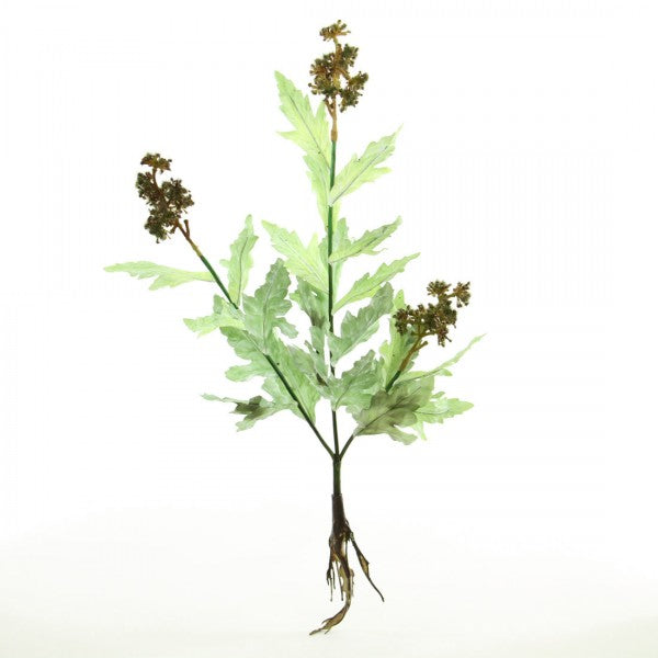 MIN.WILD QUN ANN LACE A4 B14