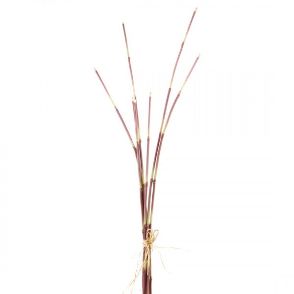 35"SNAKE GRASS X7 A5