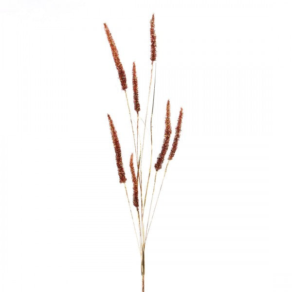 38"FOXTAIL GRASS SPRAY A5