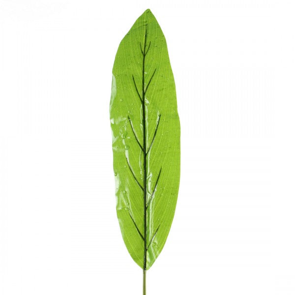 35.5"CORDYING LEAF A4