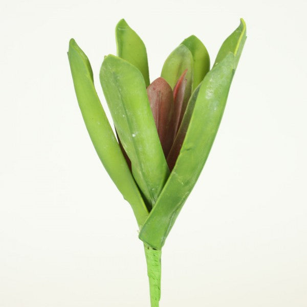 8"HOUSELEEK PICK A25