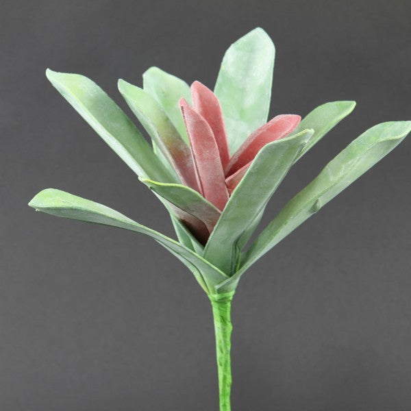 8"SUCCULENT PICK A25