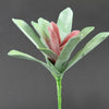 8"SUCCULENT PICK A25