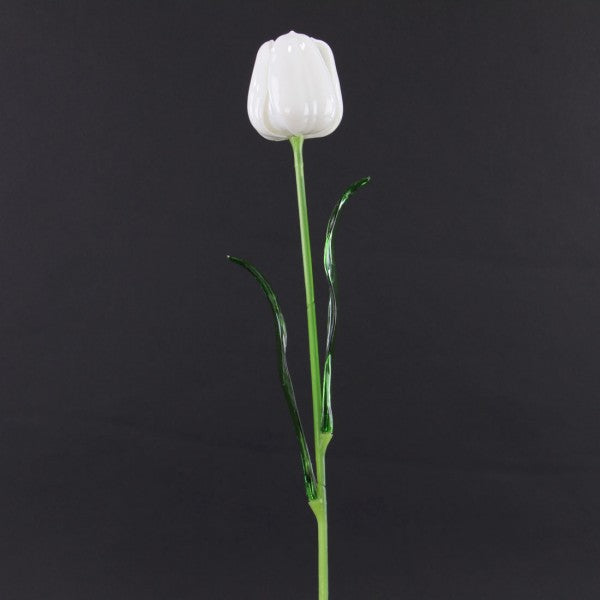 24"TRANSPARENT TULIP SPRAY A5