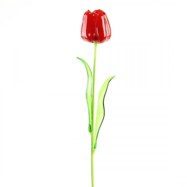 24"TRANSPARENT TULIP SPRAY A5
