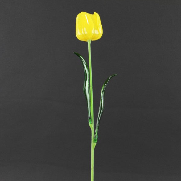 24"TRANSPARENT TULIP SPRAY A5