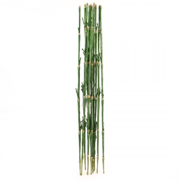 28"BAMBOO STEM X12 GREEN A5