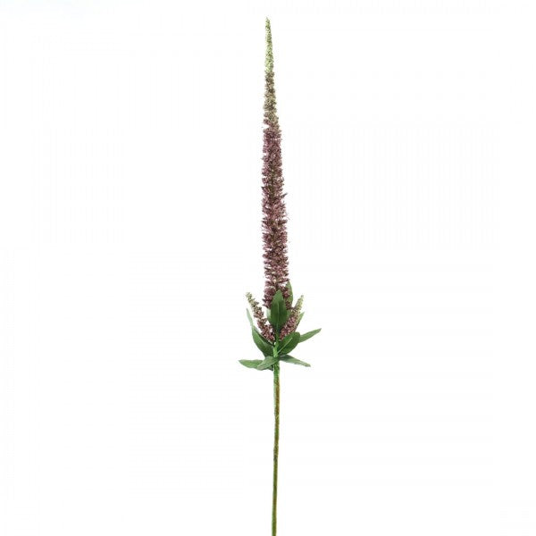 36" VERONICA WINE A25