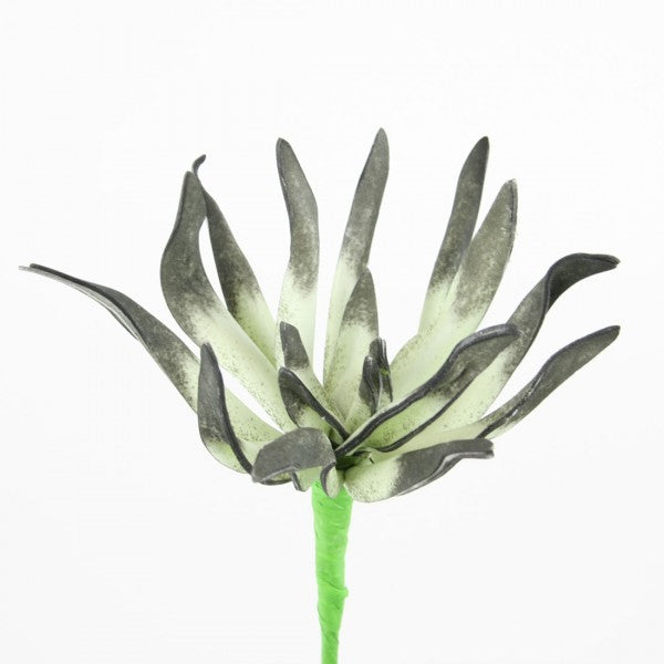 10"ASTER SUCCULENT FOAM A4 B9