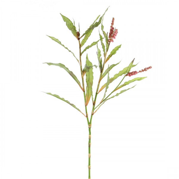 44" POLYGONUM SPRAY A5