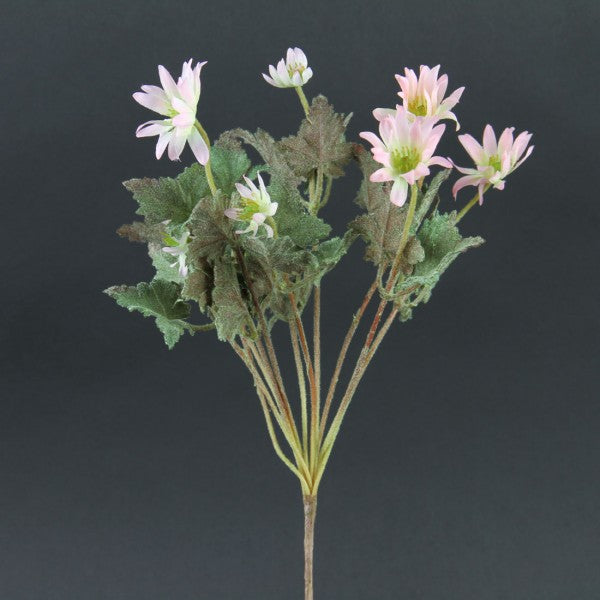 14"MINI ASTER BUSH A4