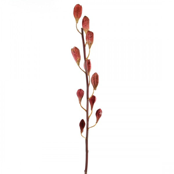 36"LILY SEED POD SPRY A4 B11