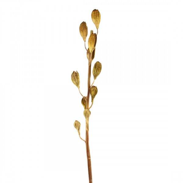 36"LILY SEED POD SPRY A4 B11