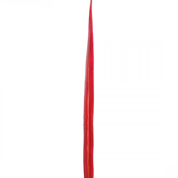 37.5" FLAXLEAF A4