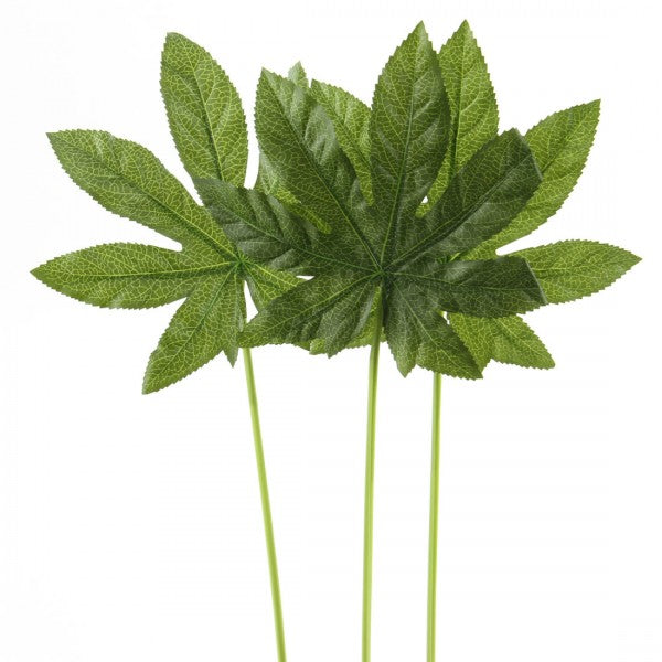 15"ARALIA LEAF 3/BUN A4 DI