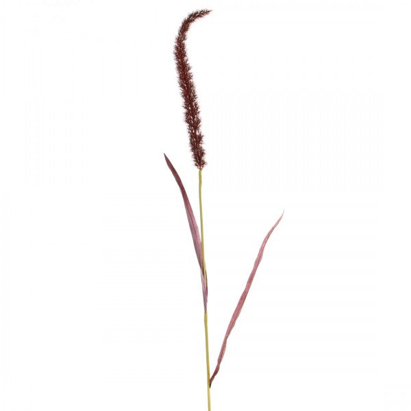 50"REED SPRAY BURGUNDY A4