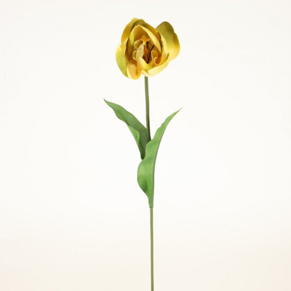 25"TULIP SPRAY SAGE A4