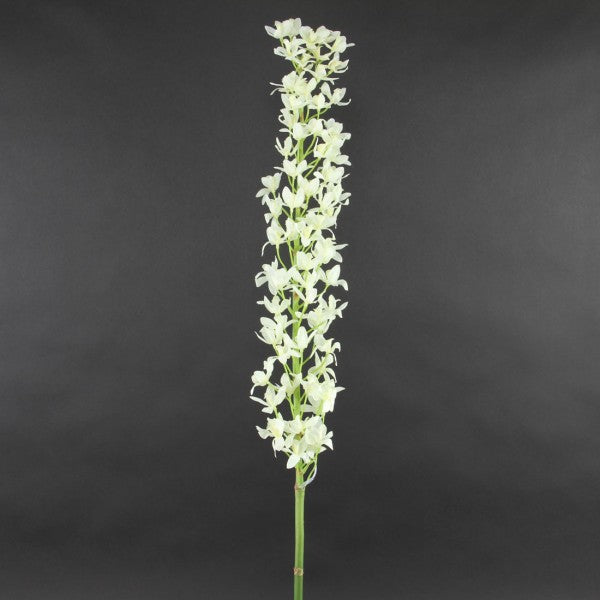 38"MINI DENDROBIUM STEM A6
