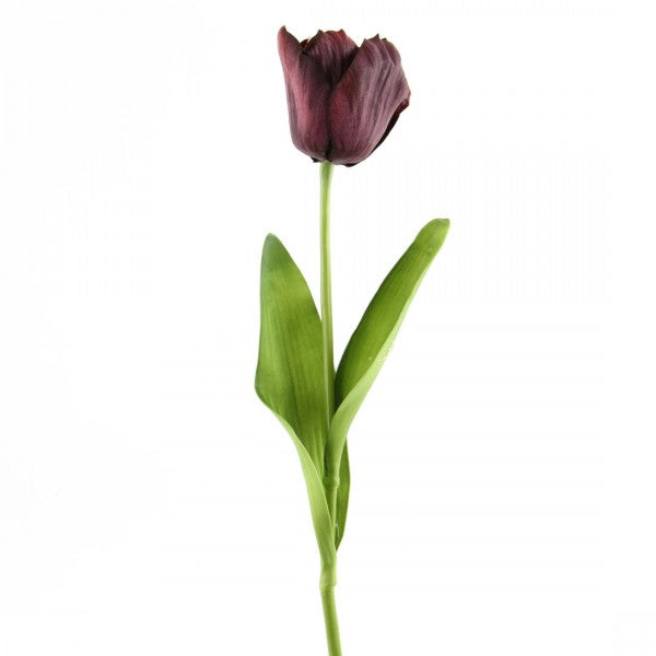 25"PEER TULIP EGG PLNT A4 B11