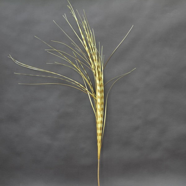ONION GRASS SPRAY A4