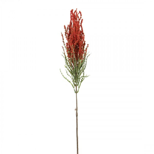ASTER SPRAY RED A4 B12