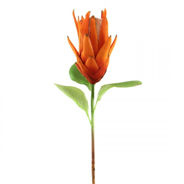 32" PROTEA SPRAY ORANGE A4