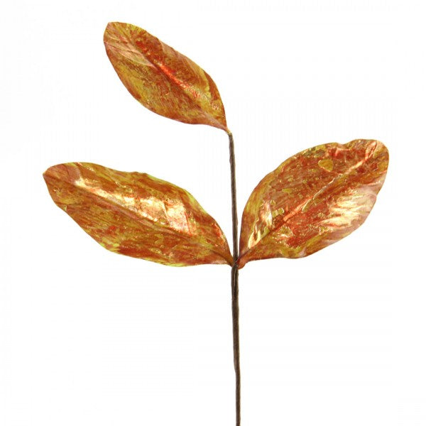 12"EMPEROR MAGNOLIA PICK A4