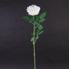 29"ENGLISH GARDEN ROSE
