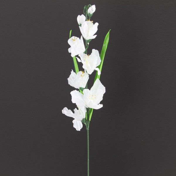23.5" MED.GLADIOLA WHITE