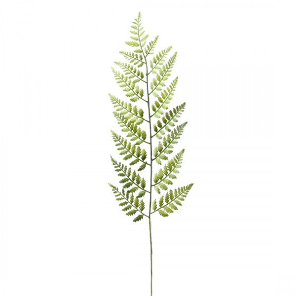 28"SM.FROND FERN