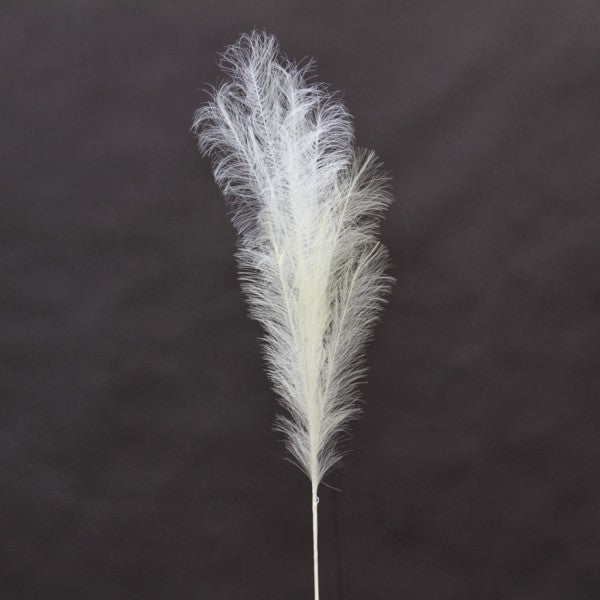 49"PAMPUS PLUME GRASS X11