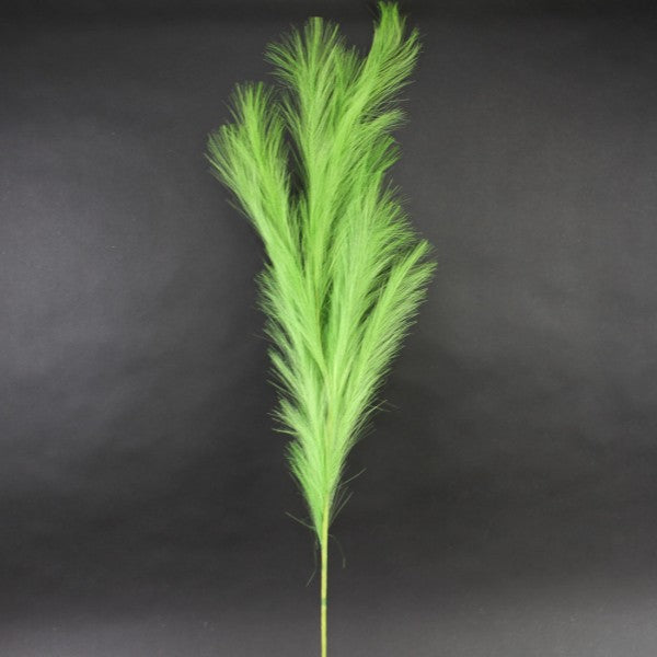 49"PAMPAS PLUME GRASS GREEN