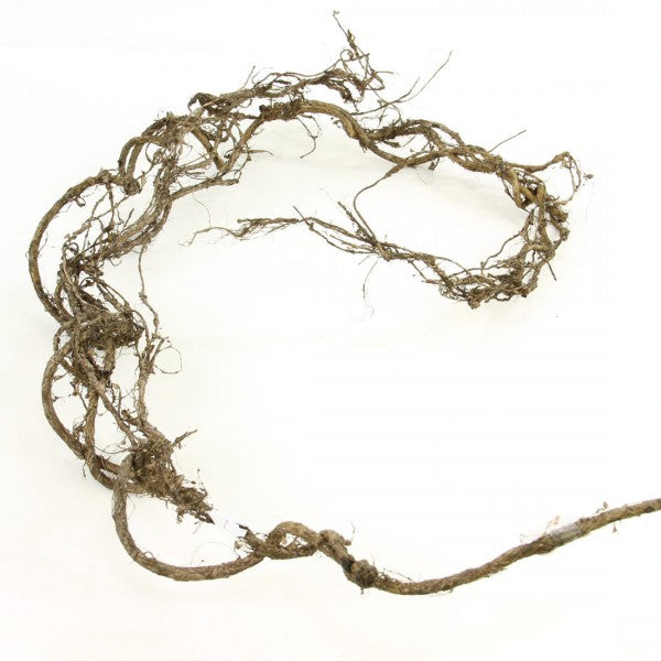 6'FOREST WILLOW GARLAND