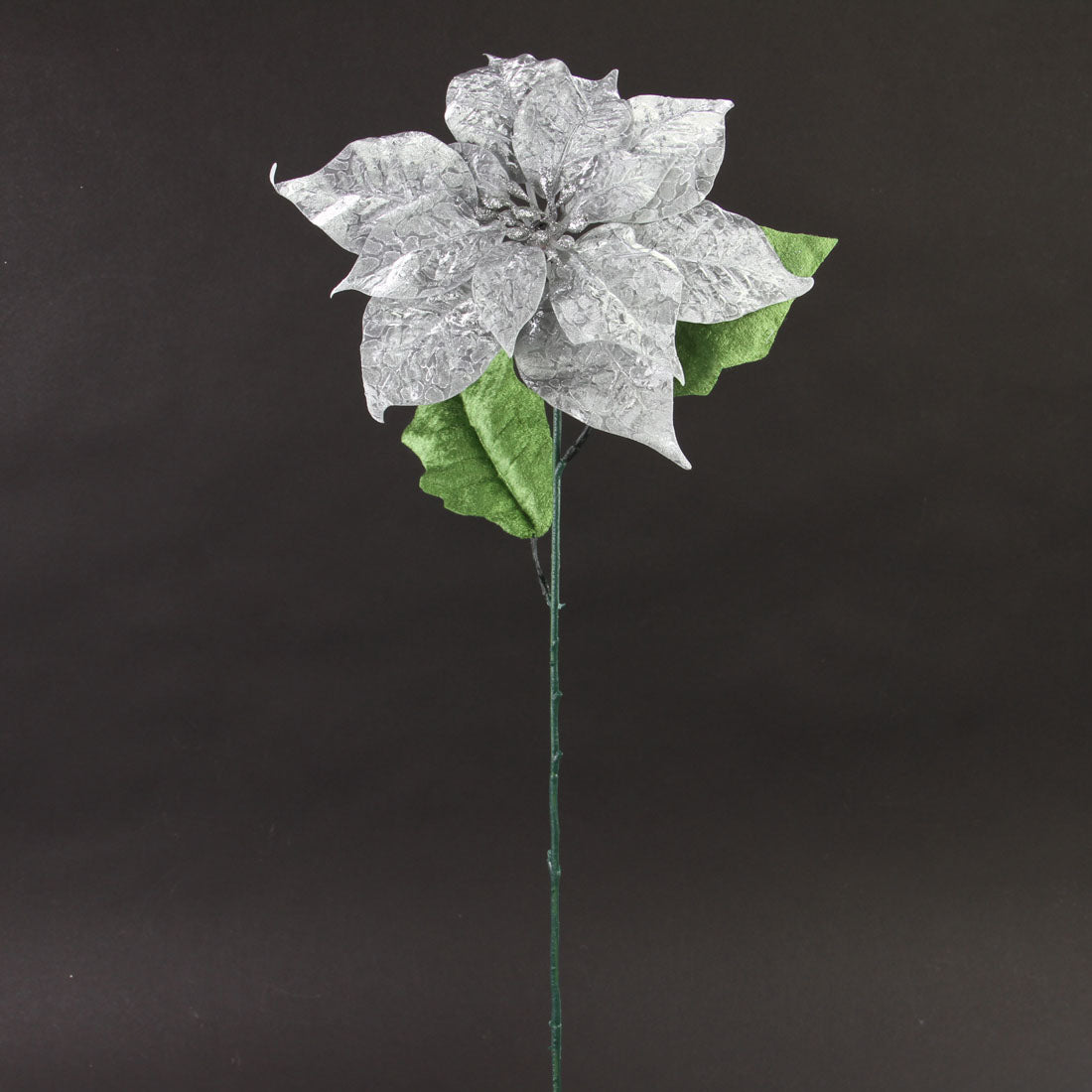 25"RELECTIONS POINSETTIA