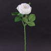 17.75"ENGLISH GARDEN ROSE