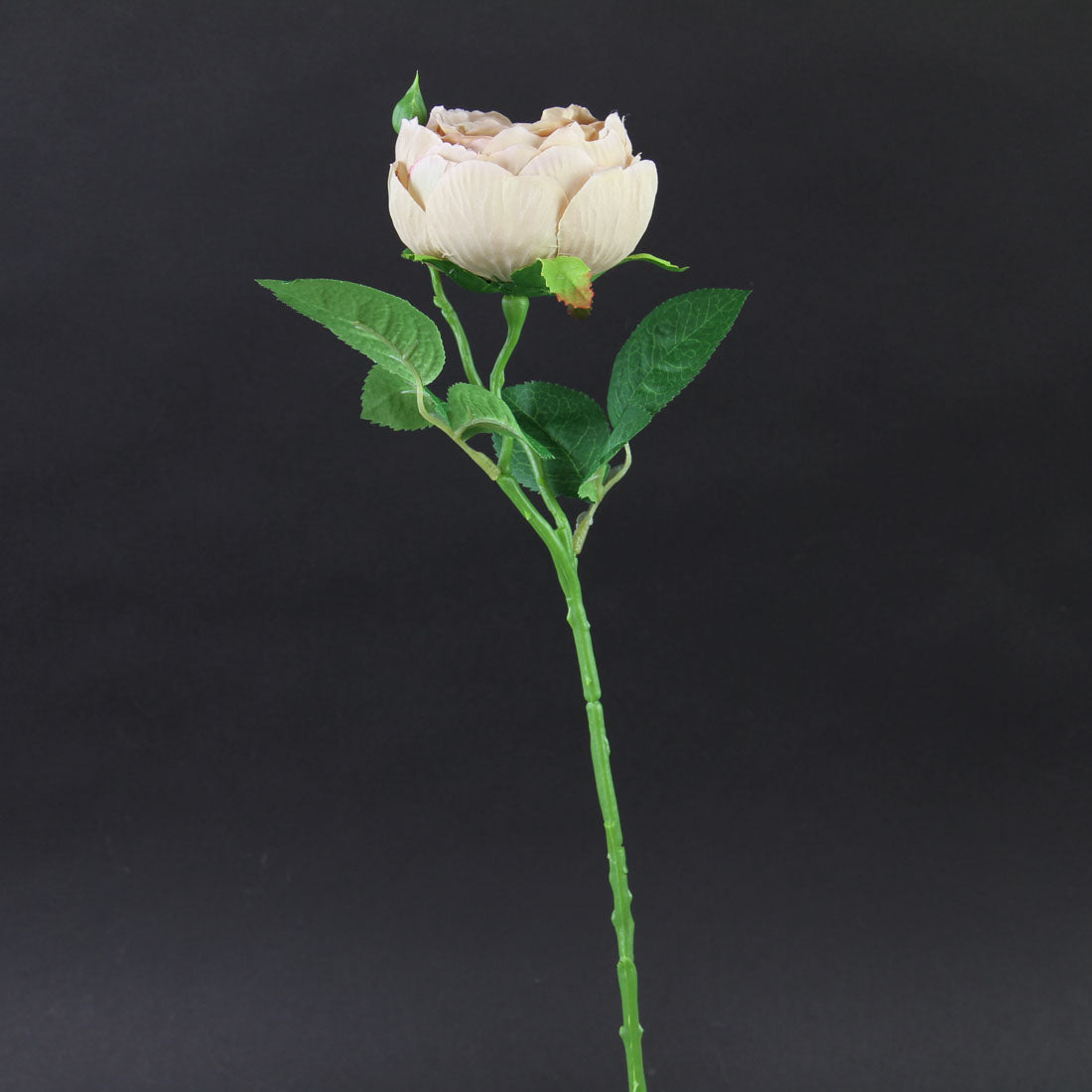17.75"ENGLISH GARDEN ROSE