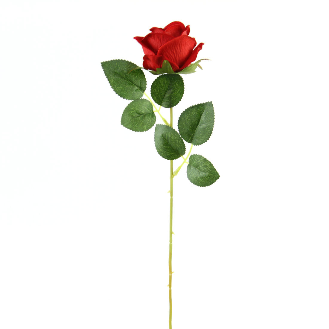 20"LG.VELVET OPEN ROSE STEM