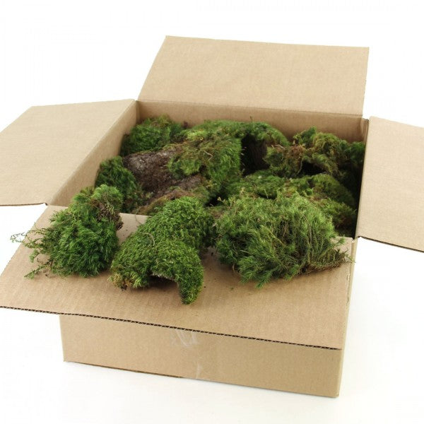 1.5 CU FT MOOD MOSS NATURAL