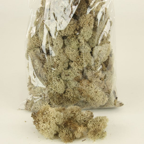 4OZ REINDEER MOSS NATURAL