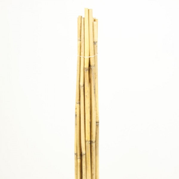 3 1/2' RIVER CANE NATURAL