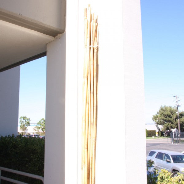 7' RIVER CANE NATURAL