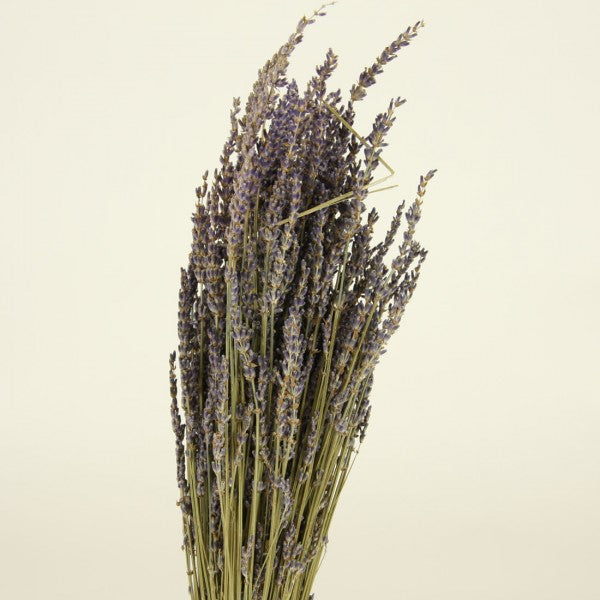 18-20" LAVENDER