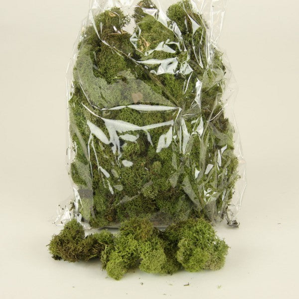 4OZ REINDEER MOSS LT.GRN