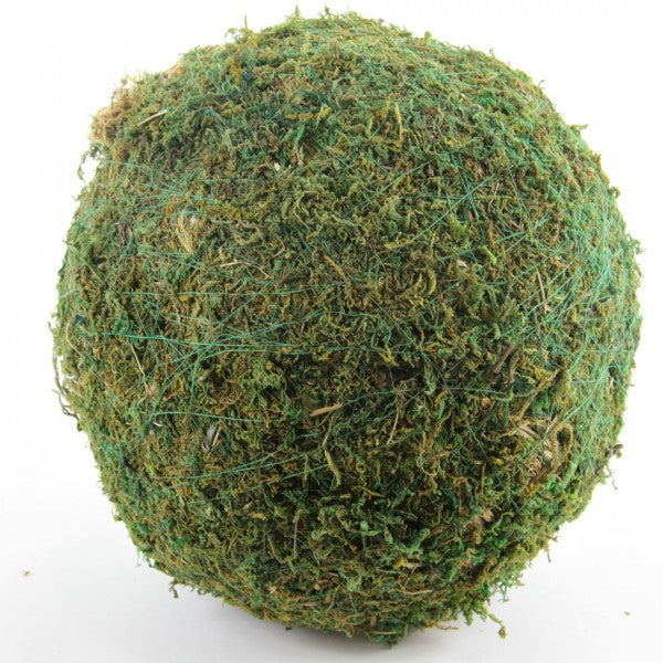 12"LG MOSS BALL GREEN