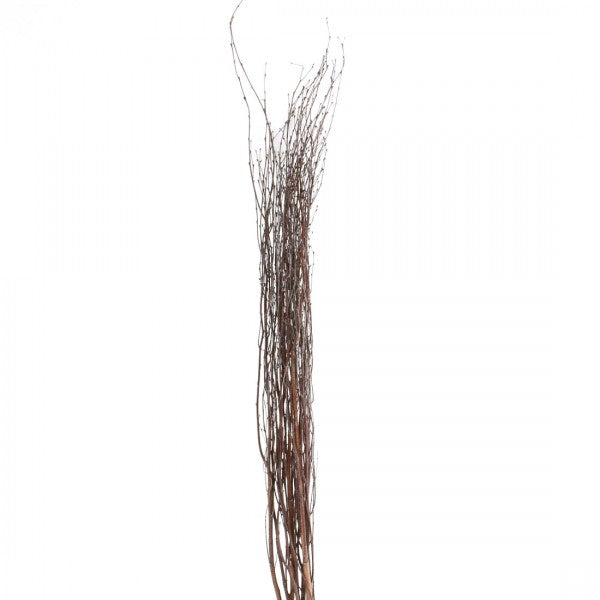 3-4'BIRCH BRANCH 10/PKG NAT
