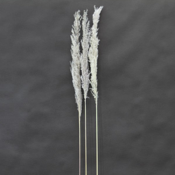 48"FEATHER GRASS 3/PKG WHITE