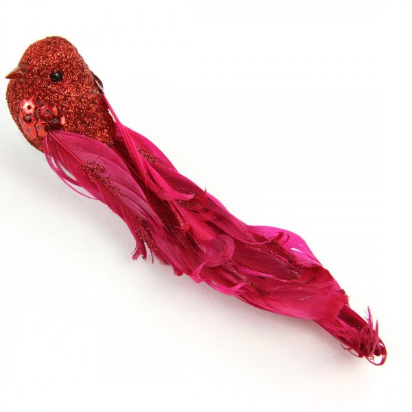 5.91" BIRD RED A4
