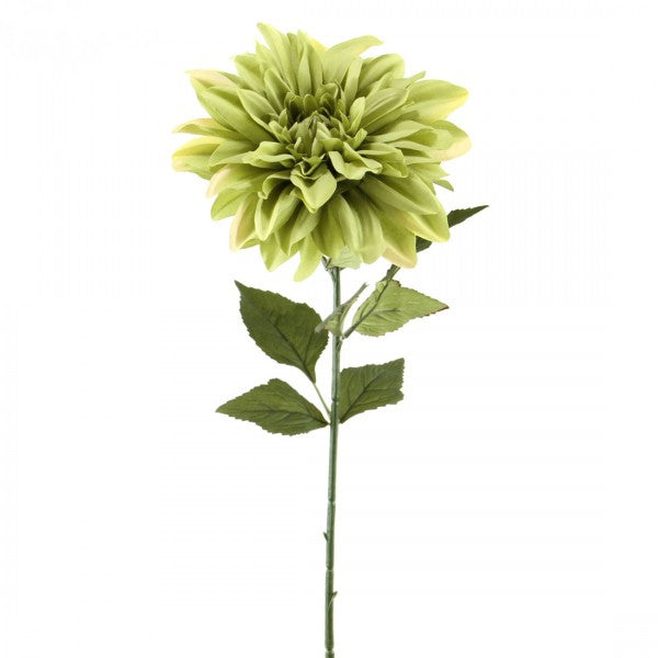 31"DAHLIA STEM A4 B18