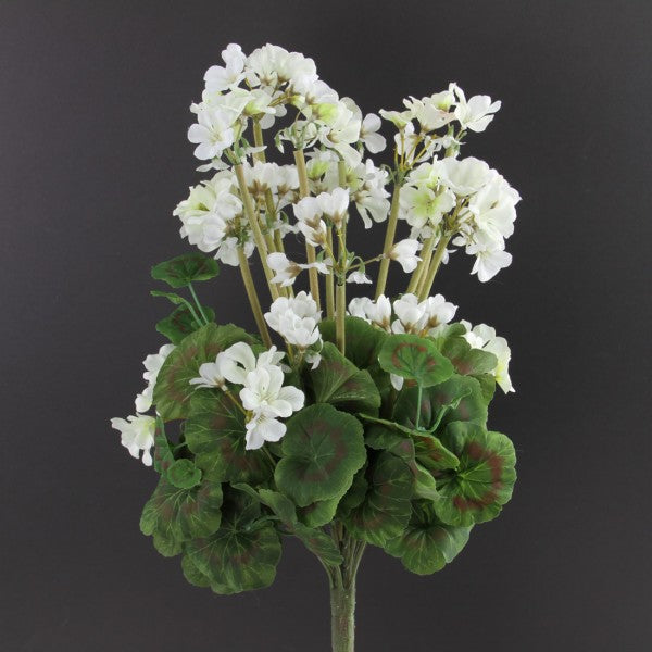 19 INCH GERANIUM BUSH